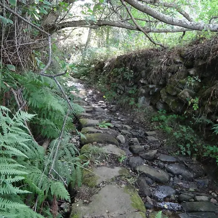 בית נופש El Patio Chico Los Loros