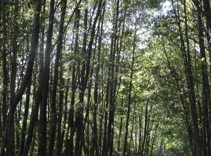 Feriehus El Patio Chico *