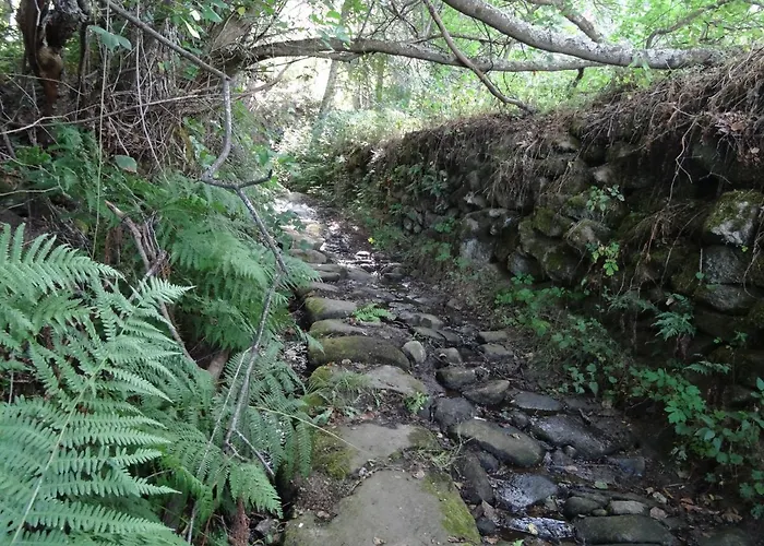Feriehus El Patio Chico Los Loros