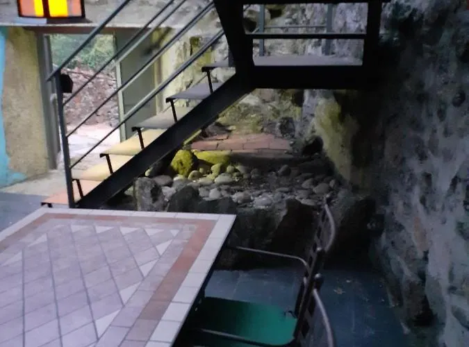 El Patio Chico Los Loros